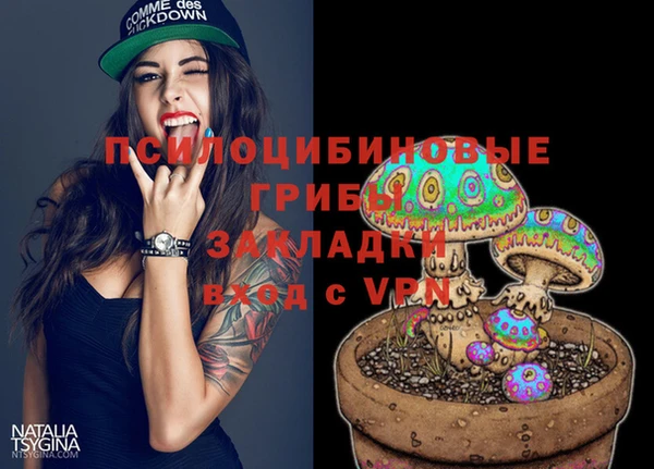 дмт Аша