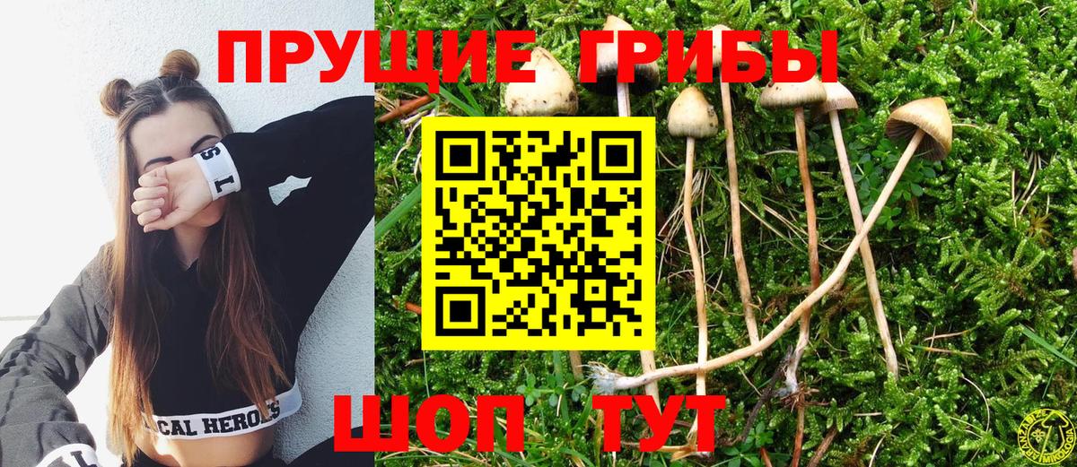 Псилоцибиновые грибы мухоморы  Вход с VPN  Галлюциногенные грибы Magic Shrooms  Энгельс 